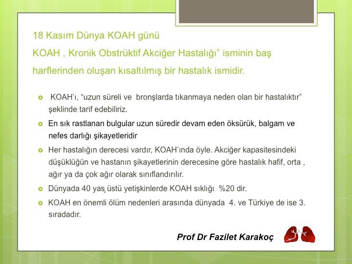 Prof. Dr. Fazilet Karakoç Sık Sorulan Sorular